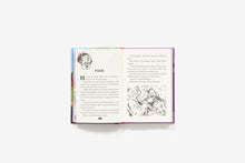 Load image into Gallery viewer, Camp Daze (Garbage Pail Kids Book 3)