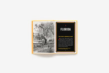 Load image into Gallery viewer, A Man Called Horse