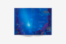 Load image into Gallery viewer, Star Fishing