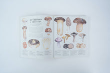 Load image into Gallery viewer, Feast Your Eyes on Food