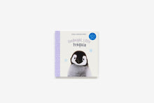 Load image into Gallery viewer, Goodnight, Little Penguin