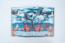 Load image into Gallery viewer, Earth's Aquarium