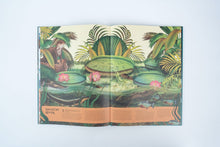 Load image into Gallery viewer, Earth's Aquarium