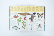 Load image into Gallery viewer, Earth's Aquarium