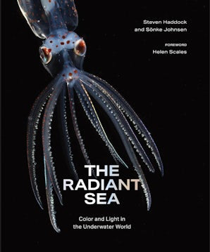 The Radiant Sea