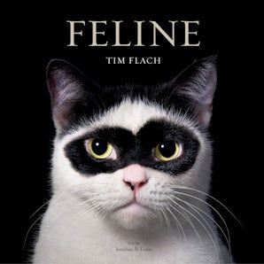 Feline