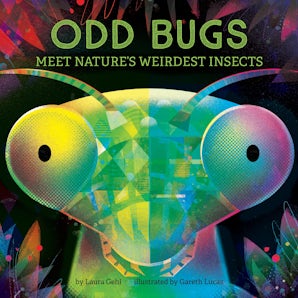 Odd Bugs (A Curious Crittters Board Book)