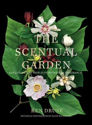 The Scentual Garden