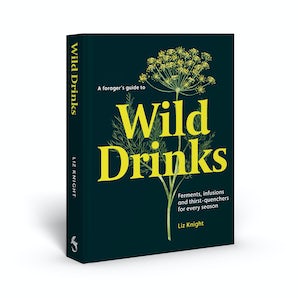 A Forager's Guide to Wild Drinks