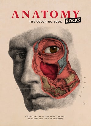 Anatomy Rocks
